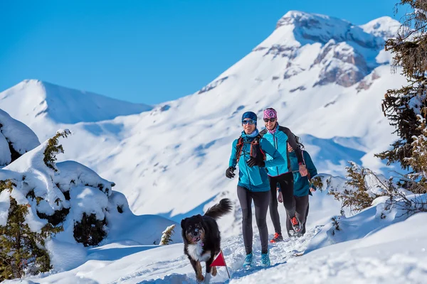 Hiver_activit%C3%A9s_trail%20sur%20neige_%C2%A9Arzur%20Michael%20Photographie_utilisation%202021-2026_BD%20(4)_600px.jpg
